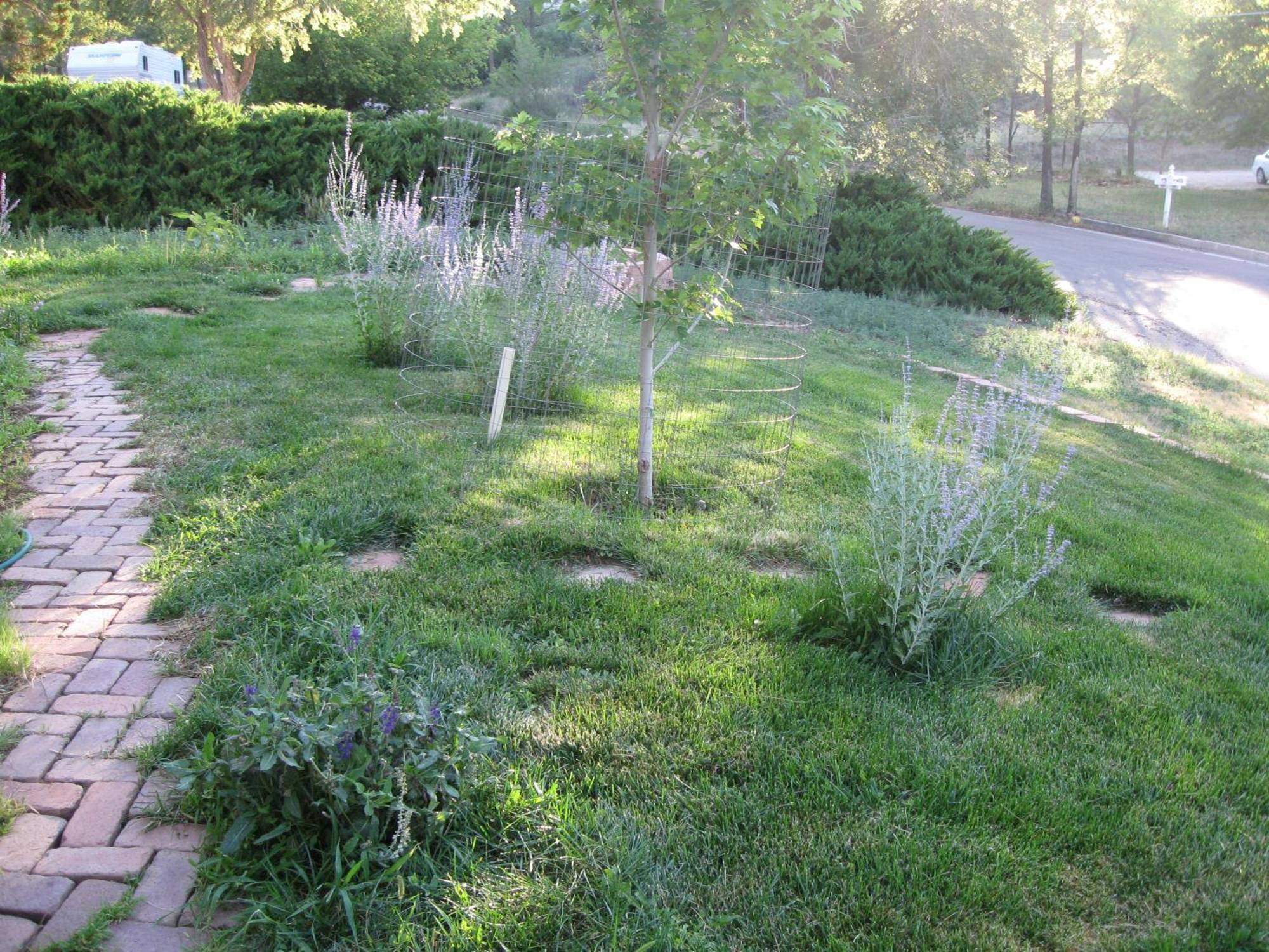 Mystic Portal 420 Guesthouse Colorado Springs Zewnętrze zdjęcie